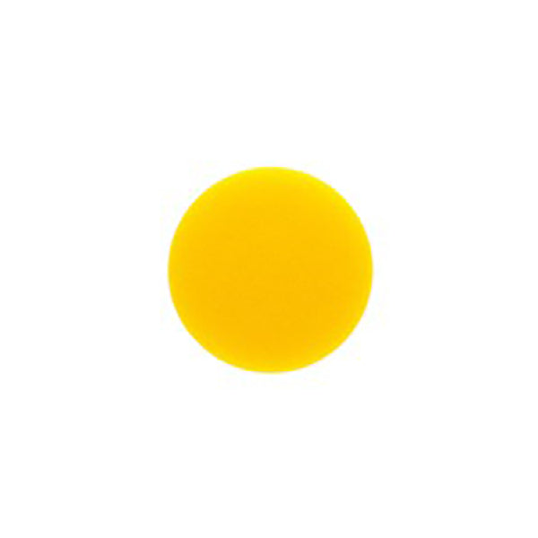 41237005