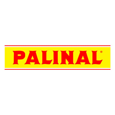 PALINI logo